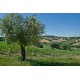 Properties for Sale_OLD FARMHOUSE WITH SEA VIEW FOR SALE IN LE MARCHE Country house to restore with panoramic view in central Italy in Le Marche_23